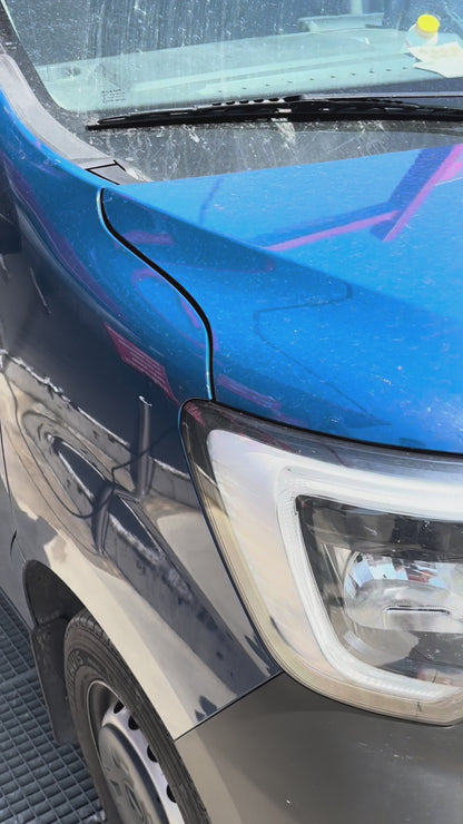 Nexan Insect Remover